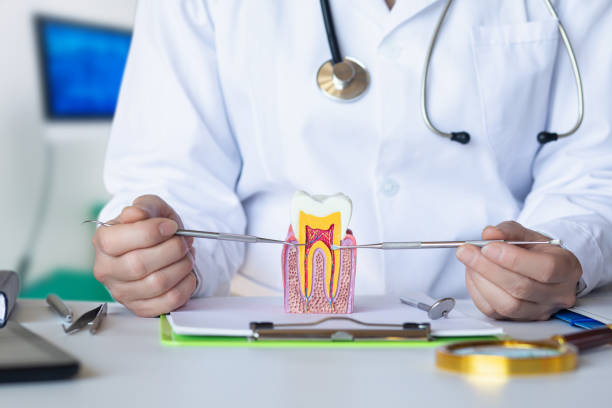 Best Emergency Dentist for Knocked-Out Tooth in Hodgkins, IL